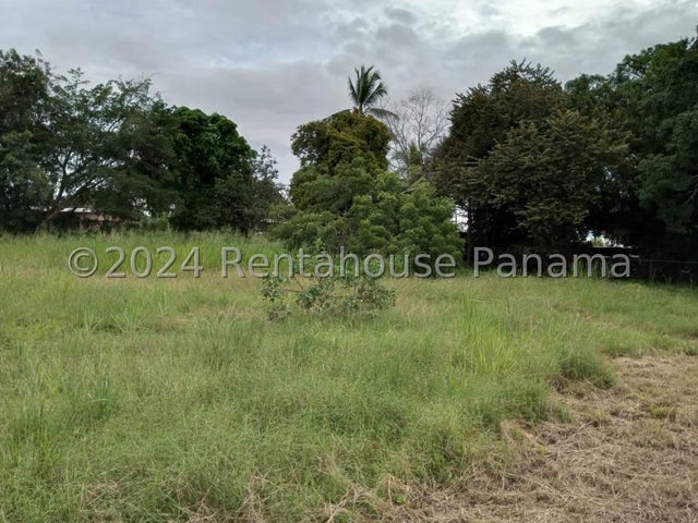 Land for Sale in Aguadulce Cocle 02038